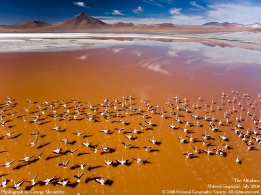 National Geographic Xclusive Scenes