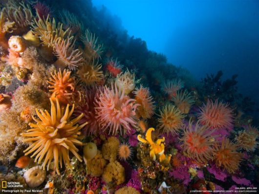 National Geographic Xclusive Scenes