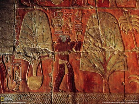 National Geographic Xclusive Scenes