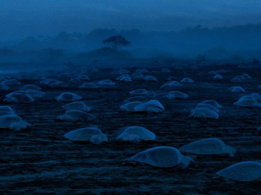 National Geographic Photos Of The Month