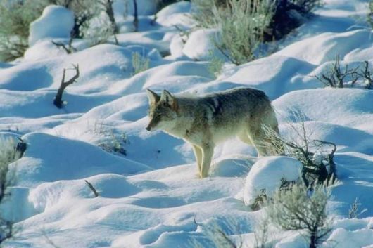 The Natural Beauty Of Pakistan