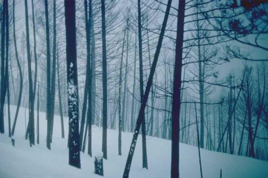 The Natural Beauty Of Pakistan