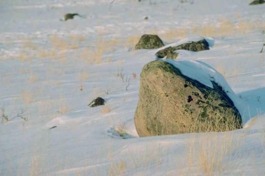 The Natural Beauty Of Pakistan