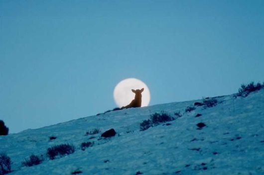 The Natural Beauty Of Pakistan