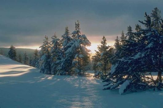 The Natural Beauty Of Pakistan