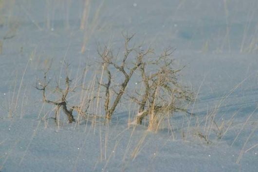 The Natural Beauty Of Pakistan