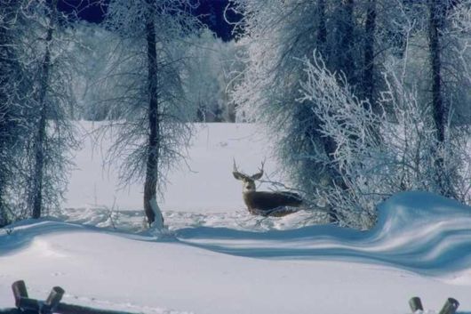 The Natural Beauty Of Pakistan