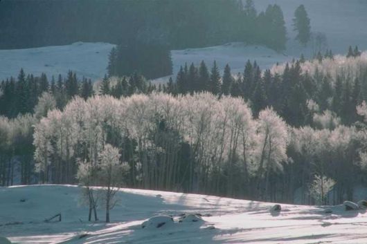 The Natural Beauty Of Pakistan