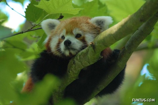 Beautiful Gifts By Nature