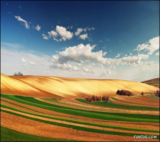 Spirits Of The Nature