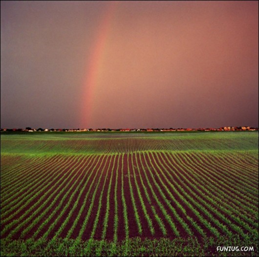 Spirits Of The Nature