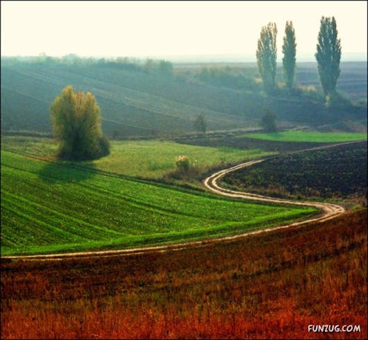 Spirits Of The Nature