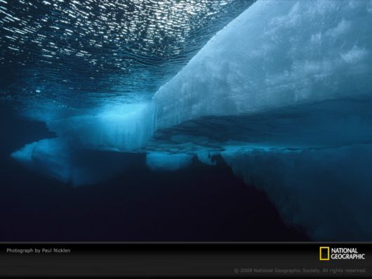 Underwater World by National Geographic
