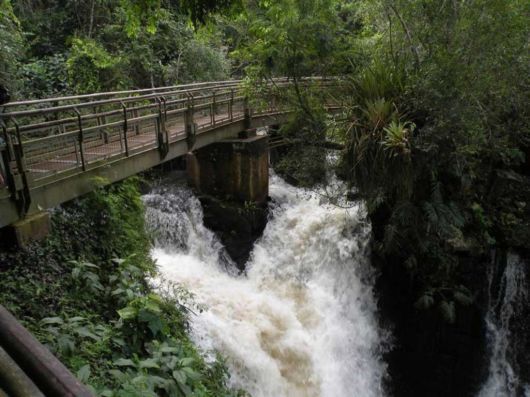 Iguazu Falls South Americas Mightiest Waterfall