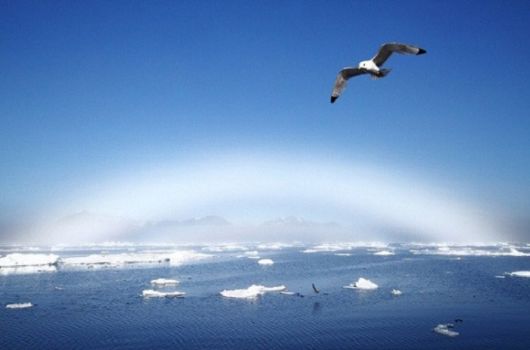 Incredible Natural Phenomenon Photography