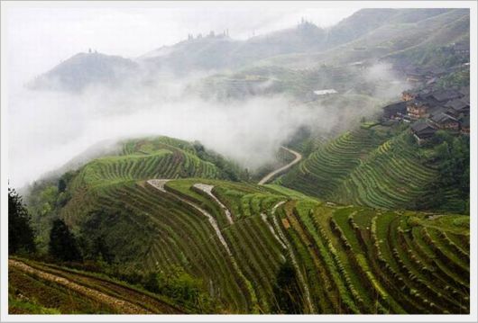 Beauty of Rice Farm Valley | Funzug.com