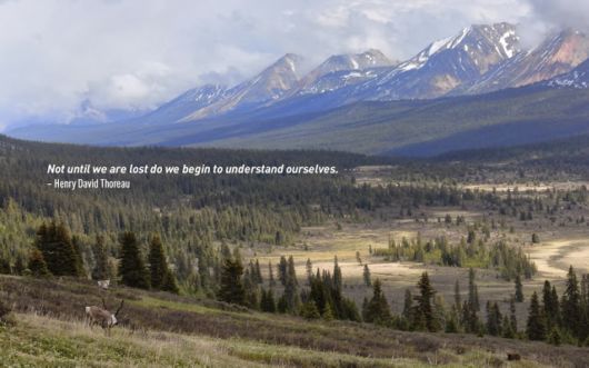 Cool And Inspiring Travel Quotes With Pictures