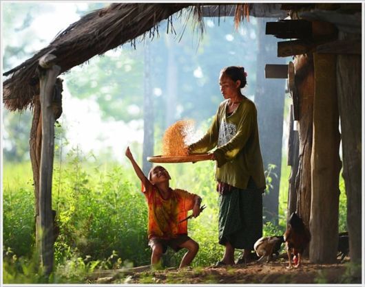 The Unconditional Mother's Love 