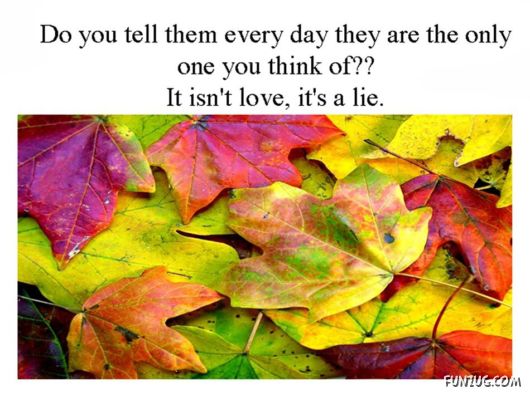 Do You Know What is LOVE?