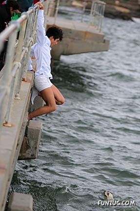 A Story Told in Pictures