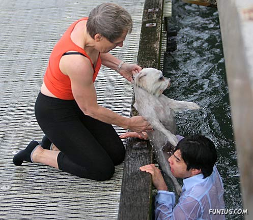 A Story Told in Pictures