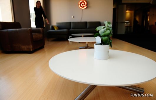 Amazingly Beautiful Twitter Office