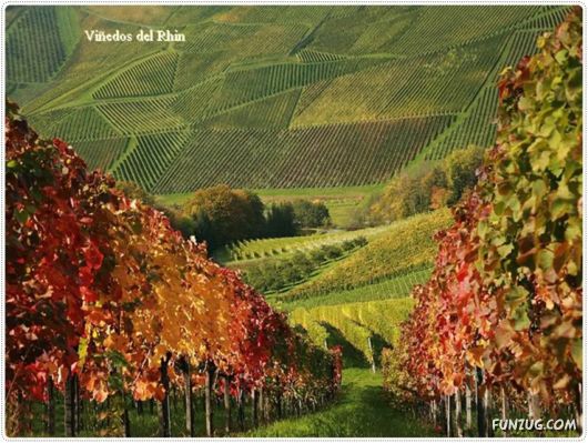 A Trip to Alemania, Germany