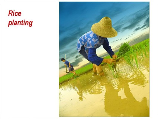 The Incredible China