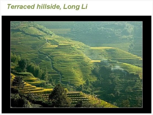 The Incredible China