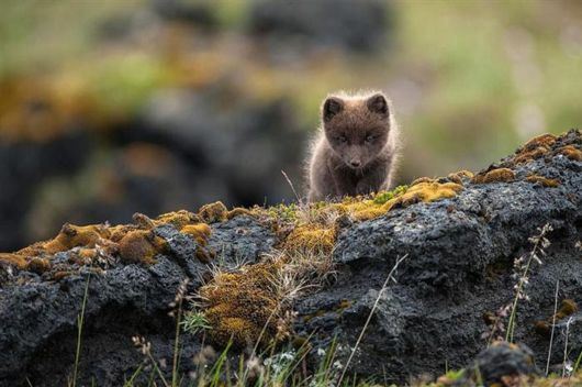 Stunning Photos Of Incredible Iceland