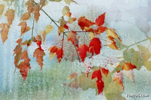 Beautiful Pictures from Siberia