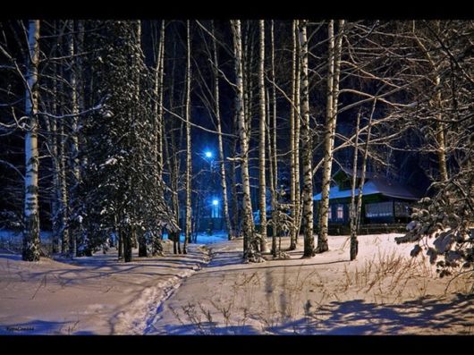 Beautiful Streets Of Dubna, Moscow