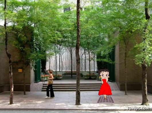 A Trip to New York City