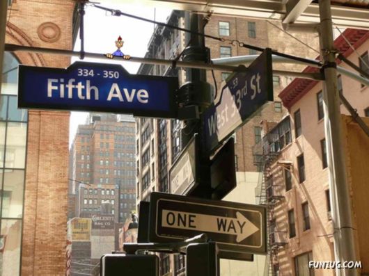 A Trip to New York City