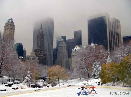 A Trip to New York City