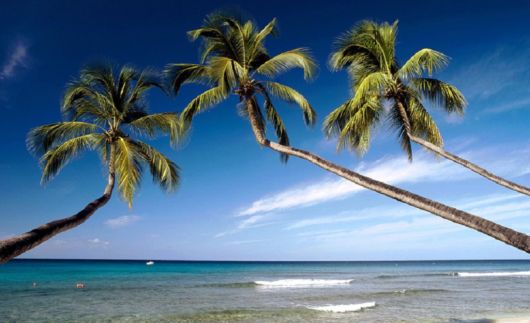 Beautiful Beaches Of Kerala, India  