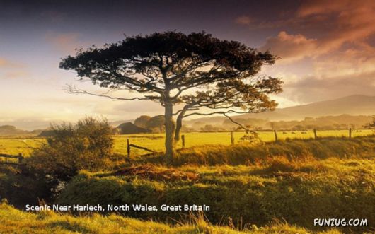 A Trip To Beautiful Europe