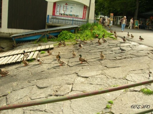 Amazing Beauty of Austria