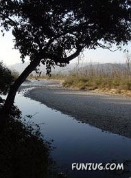 Stunning Jim Corbett National Park