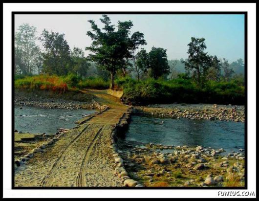 Stunning Jim Corbett National Park