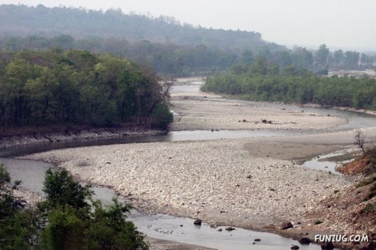 Stunning Jim Corbett National Park