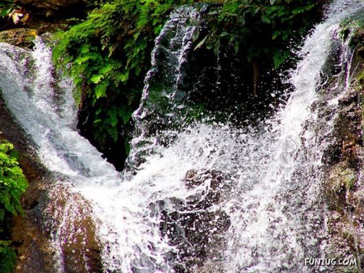 Stunning Jim Corbett National Park