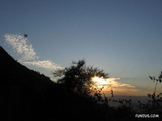 Stunning Jim Corbett National Park