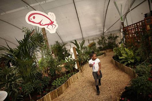 The London Butterfly Museum