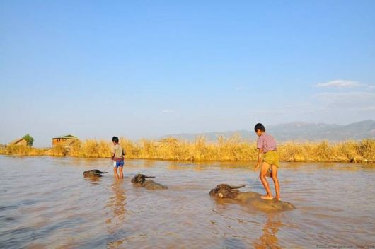 Myanmar - Golden Land Of Pagodas And Temples
