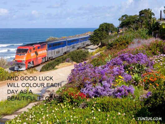 Rail Journeys Across USA And Canada