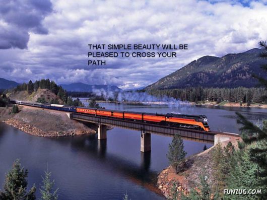 Rail Journeys Across USA And Canada