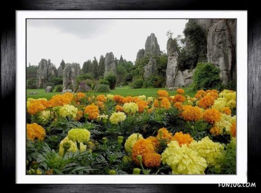 Shilin: The Stone Forest, China