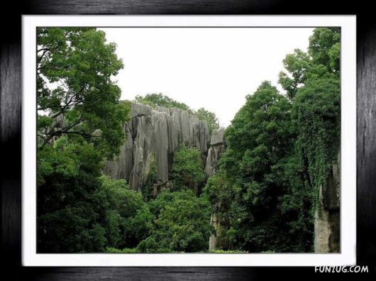Shilin: The Stone Forest, China