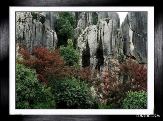 Shilin: The Stone Forest, China